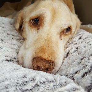 Meet your Posher, Fred